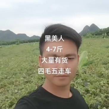 黑美人四毛钱一斤