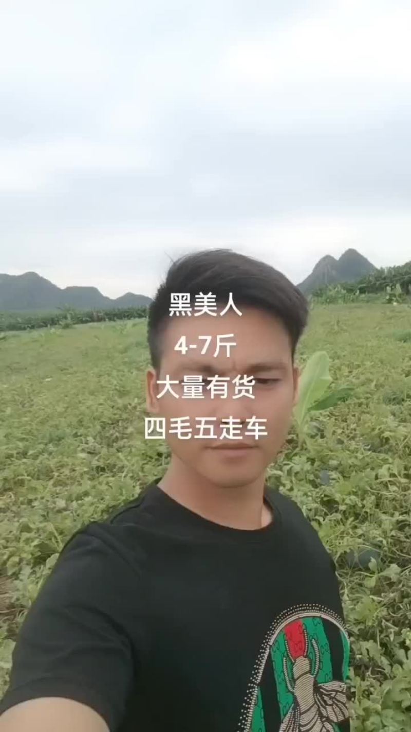 黑美人四毛钱一斤