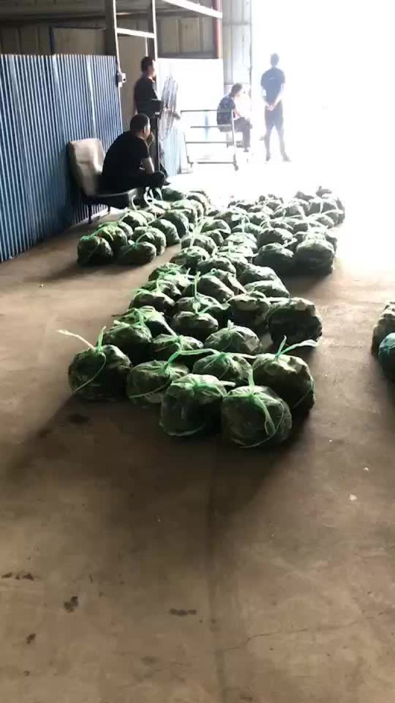 大闸蟹批发零售