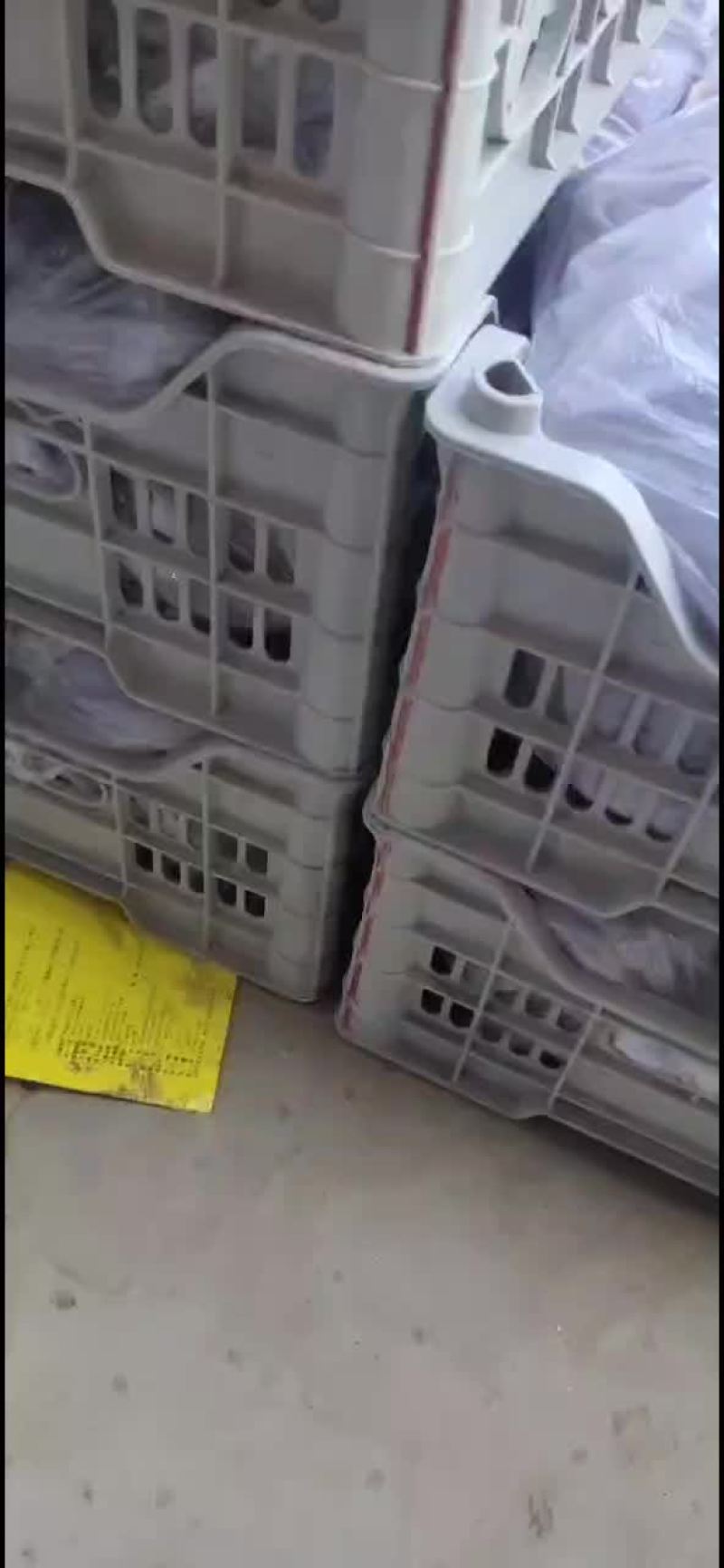 红提，礼泉产地。品质优，口感甘甜独特。高山优质红提葡萄。