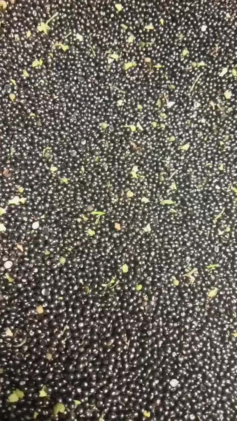 青花椒子