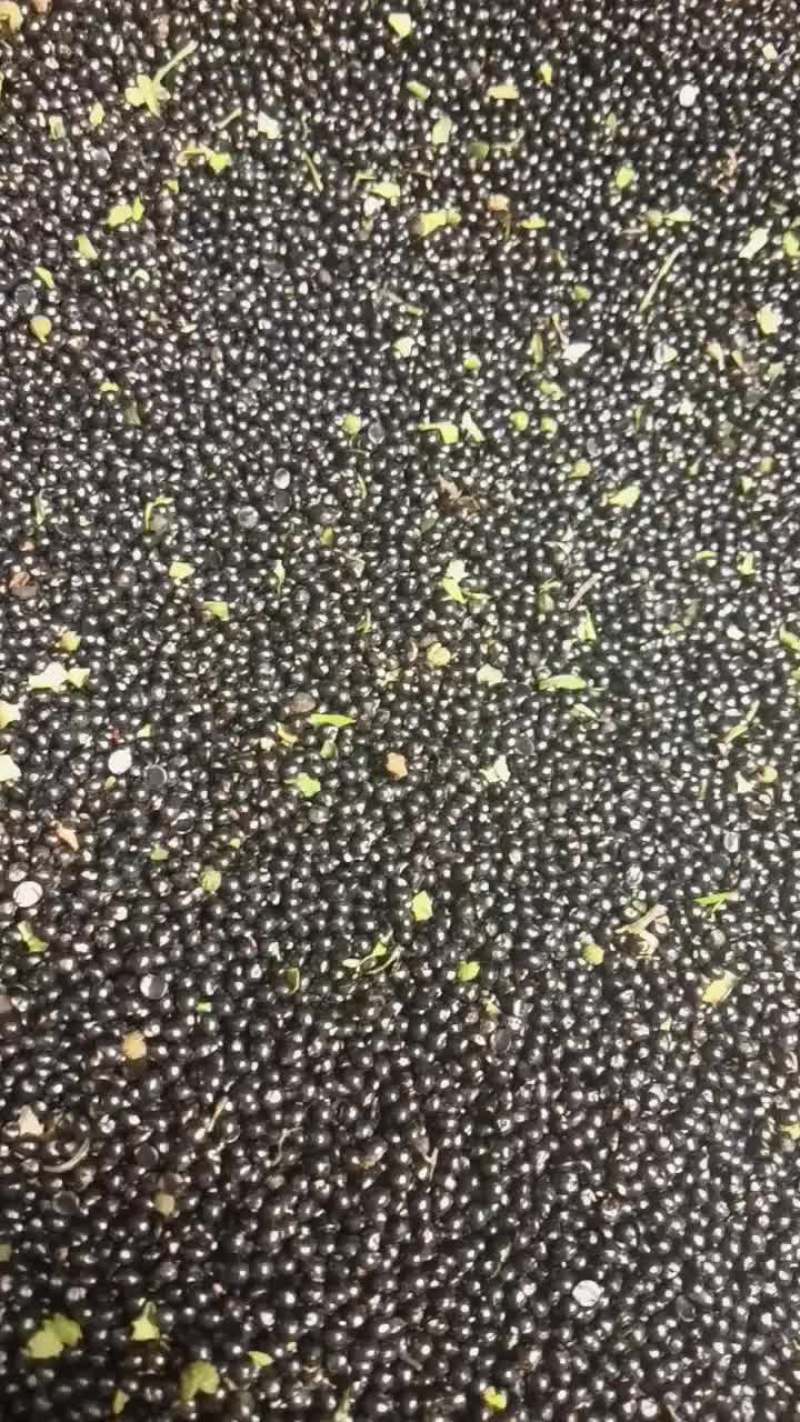 青花椒子