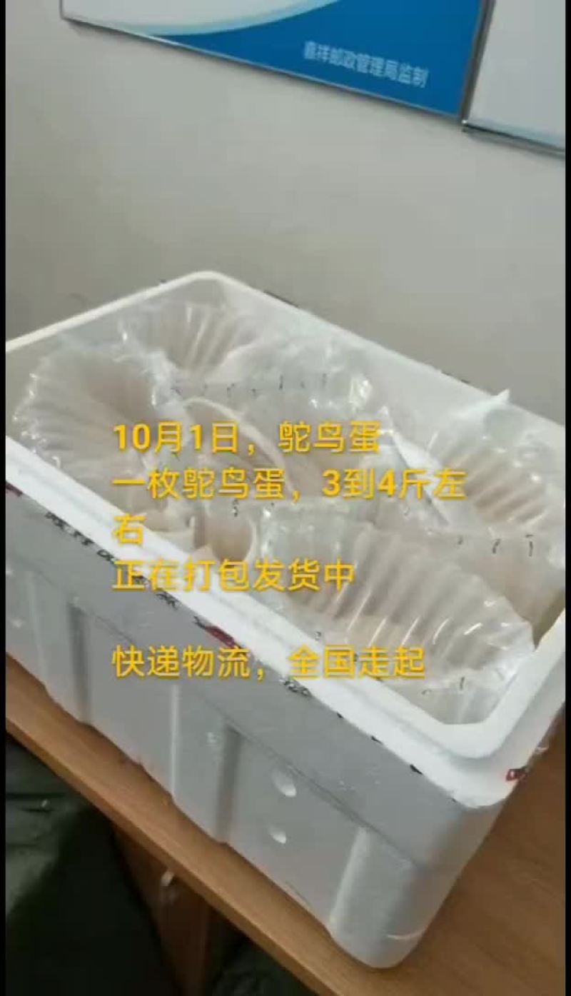 鸵鸟蛋