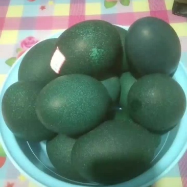 鸸鹋蛋和鸸鹋蛋壳