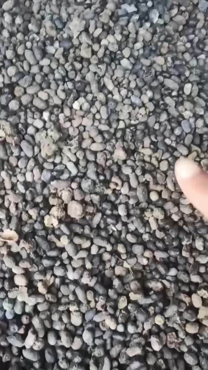 山卡拉长期有机肥羊粪常年供应欢迎致电