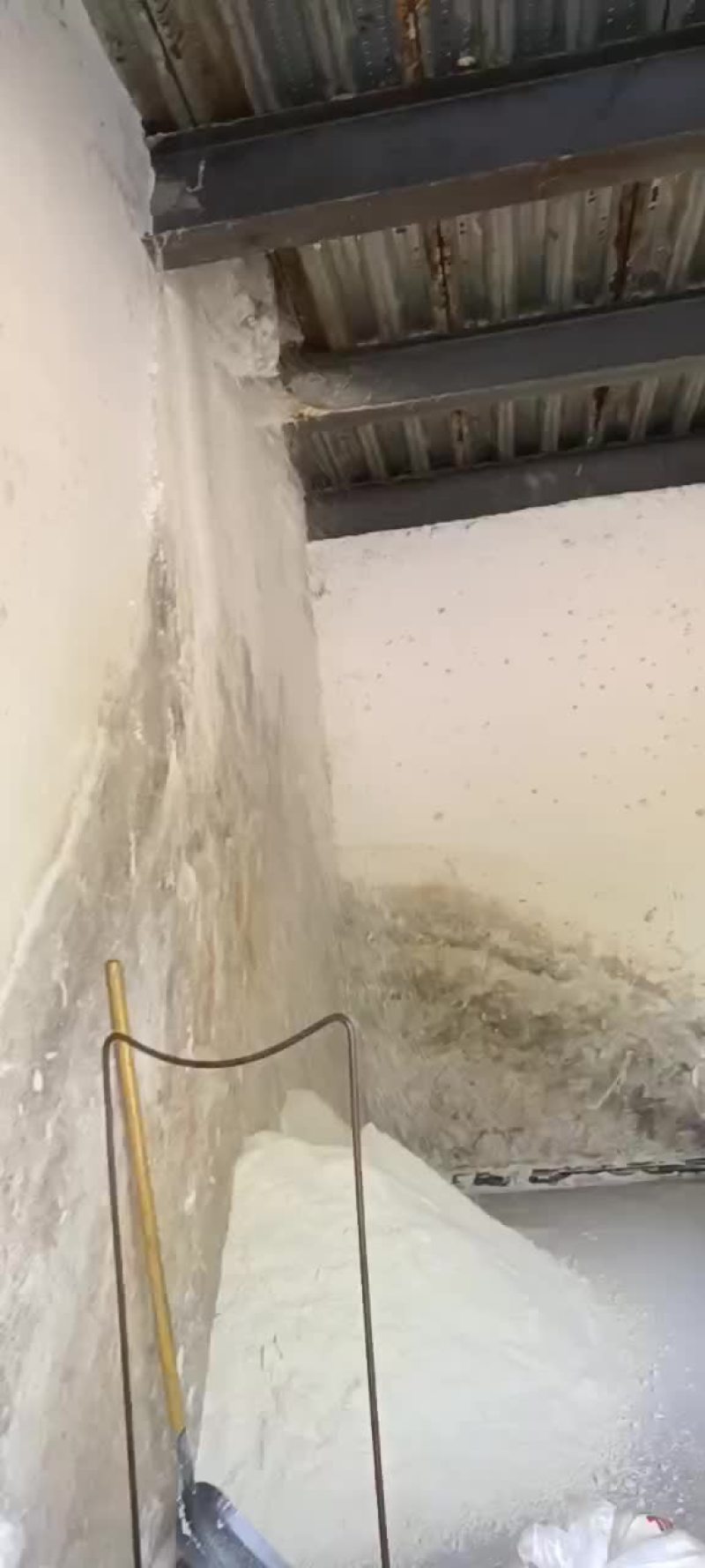 新鲜豆渣
