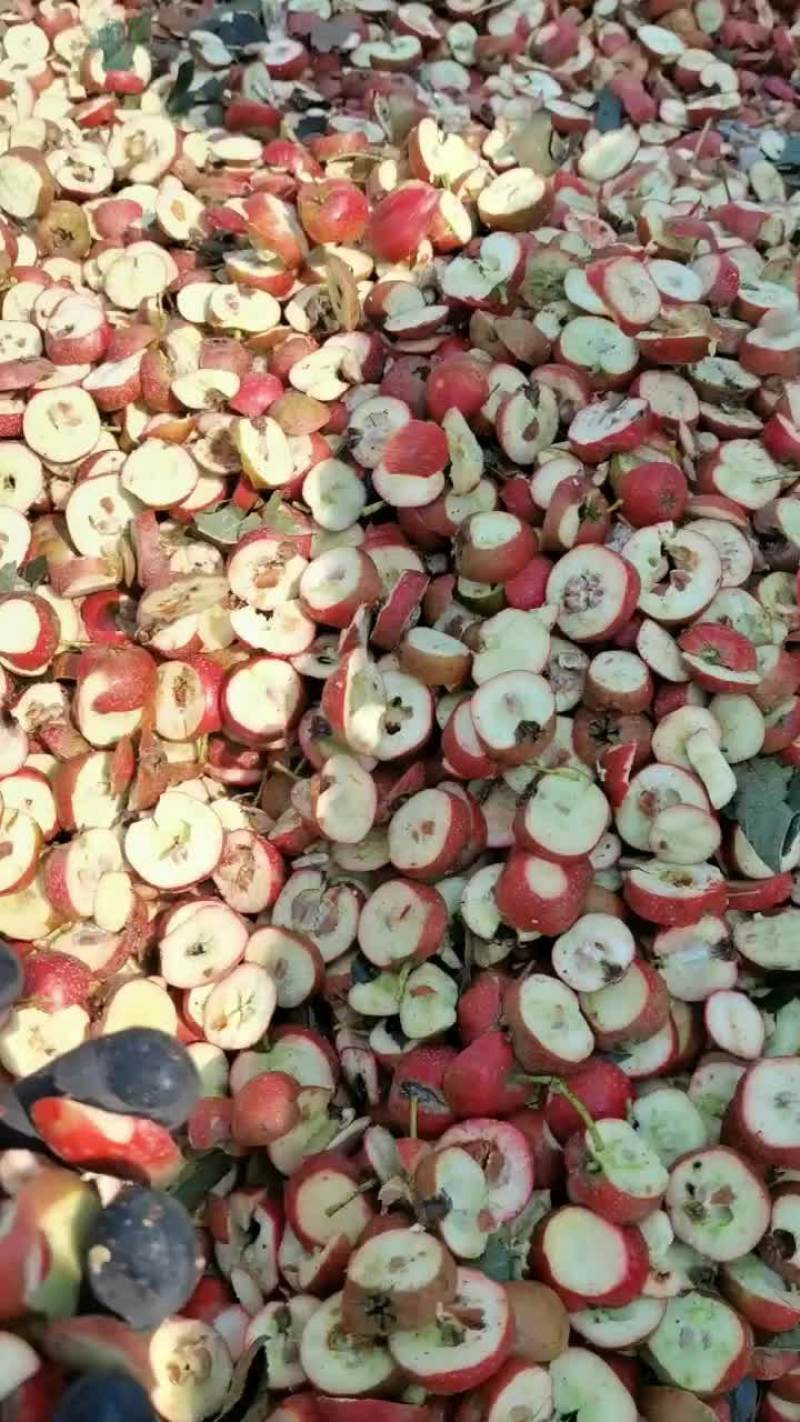 山楂干