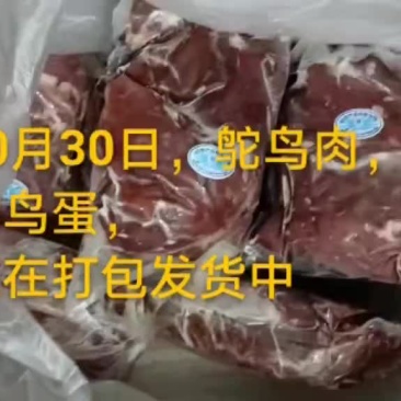 鸵鸟蛋