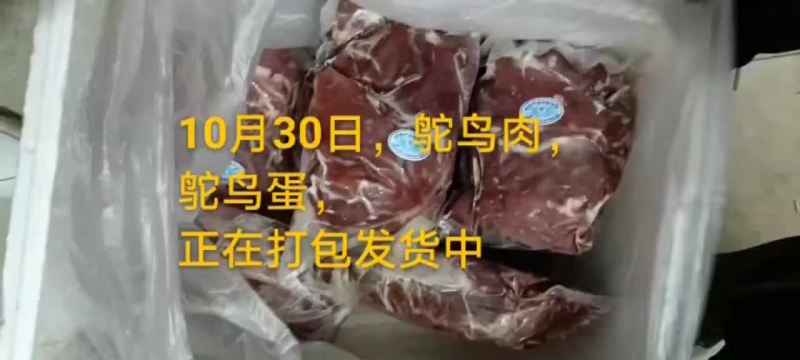 鸵鸟蛋