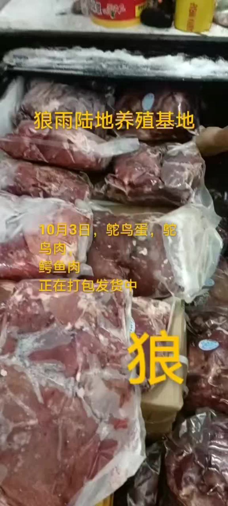 鸵鸟蛋