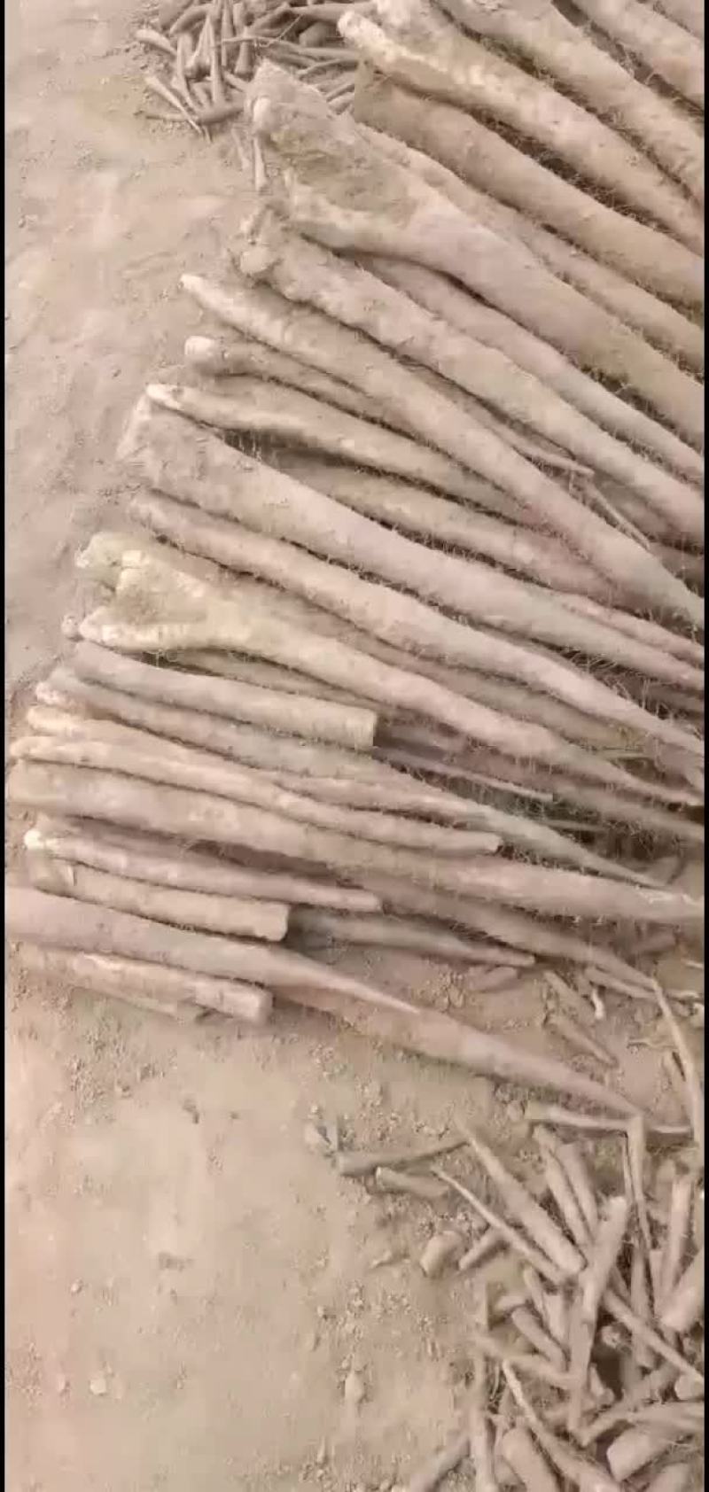 白玉山药通货佛手二货产地发货