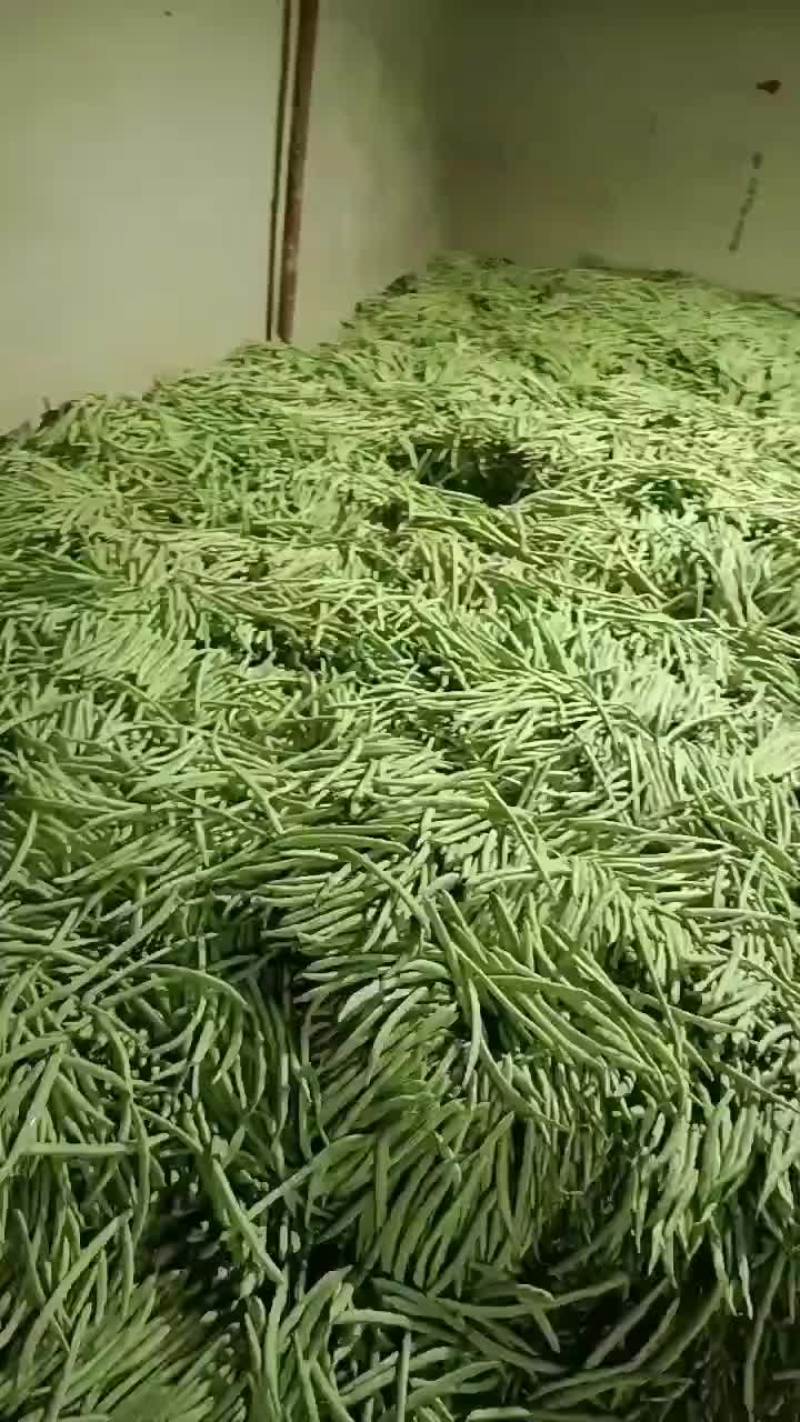 偏豆
