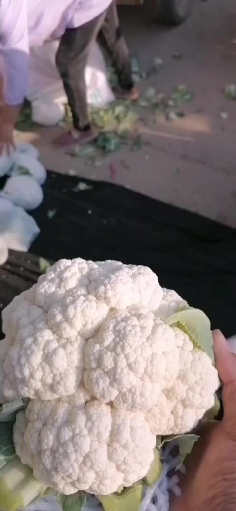 有机花