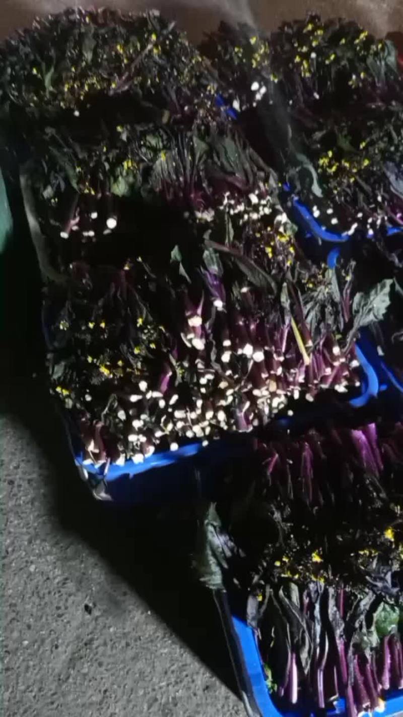 豌豆尖，红菜苔