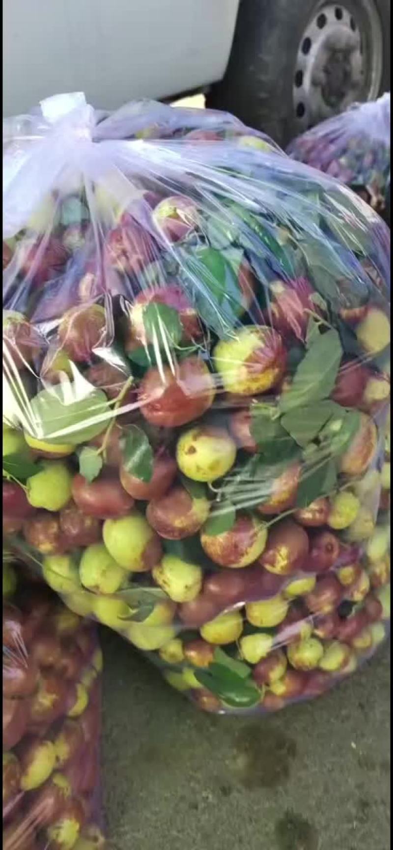 精选梨枣