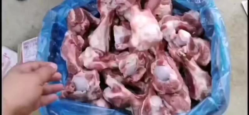 多肉前腿骨
