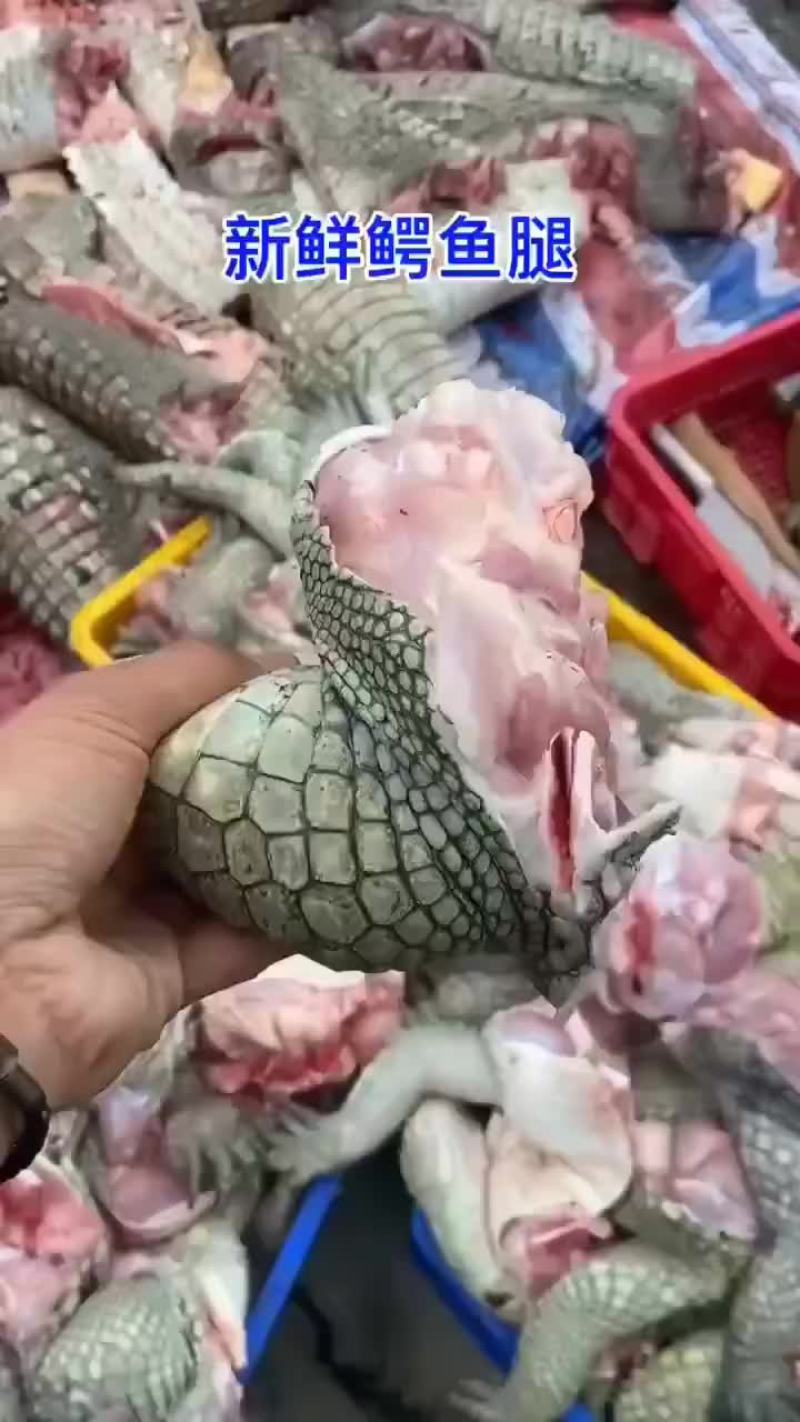 鳄鱼掌鳄鱼腿肉，量大从优，支持全国发货，鲜冻发货