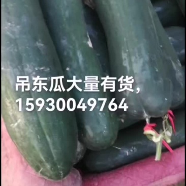 精品吊东瓜大量有货有需要的联系我