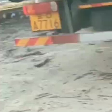 椰子