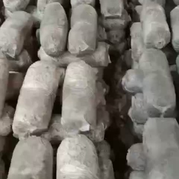 鲜平菇再有一个月大量上市