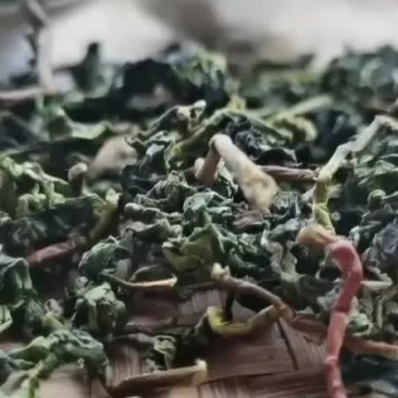 秋茶铁观正味清香