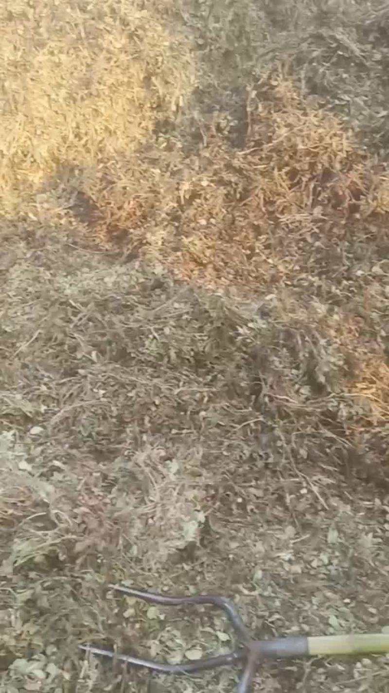 新鲜干草:花生秧