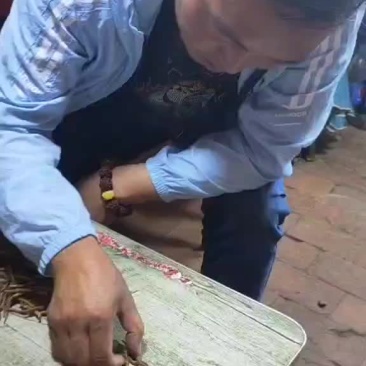 虫草
