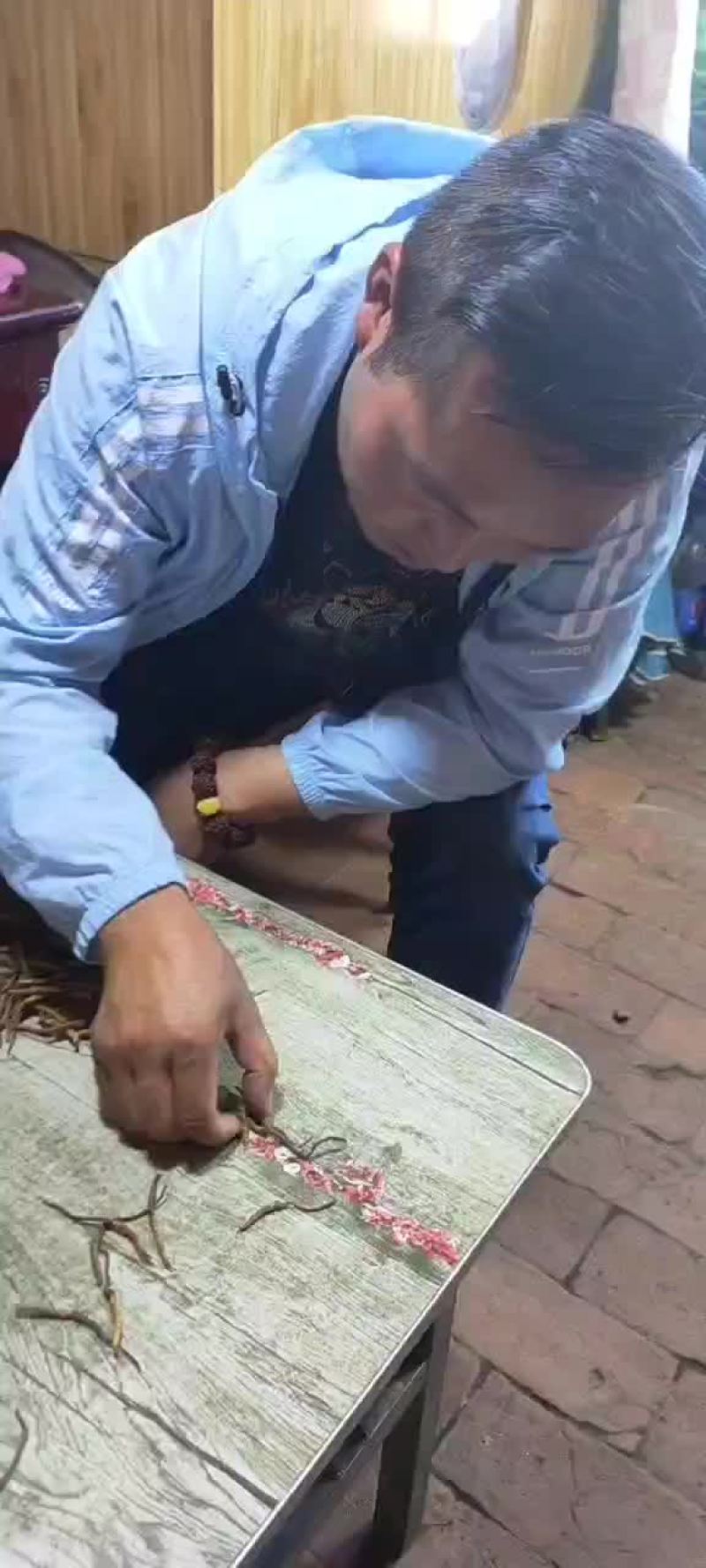 虫草