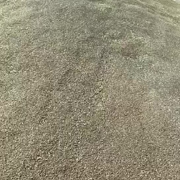胡麻，