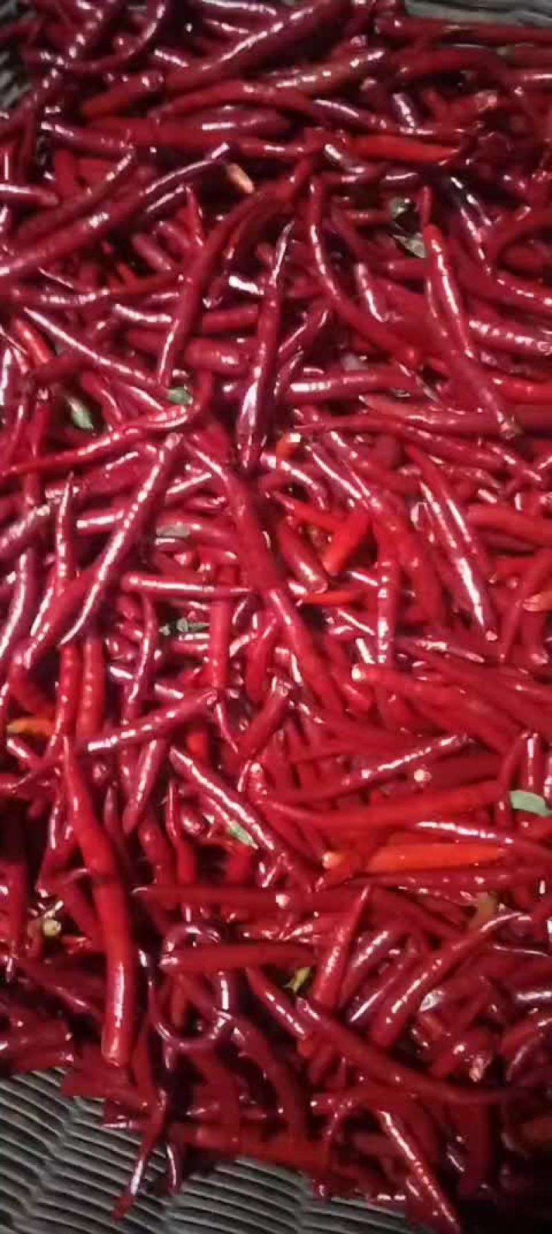 云南干辣椒，丘北辣