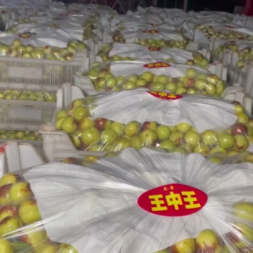 质量决定一切