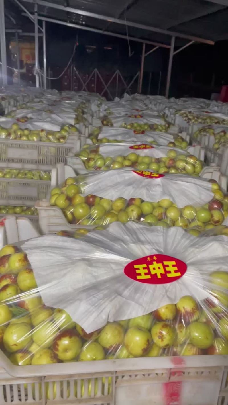 质量决定一切