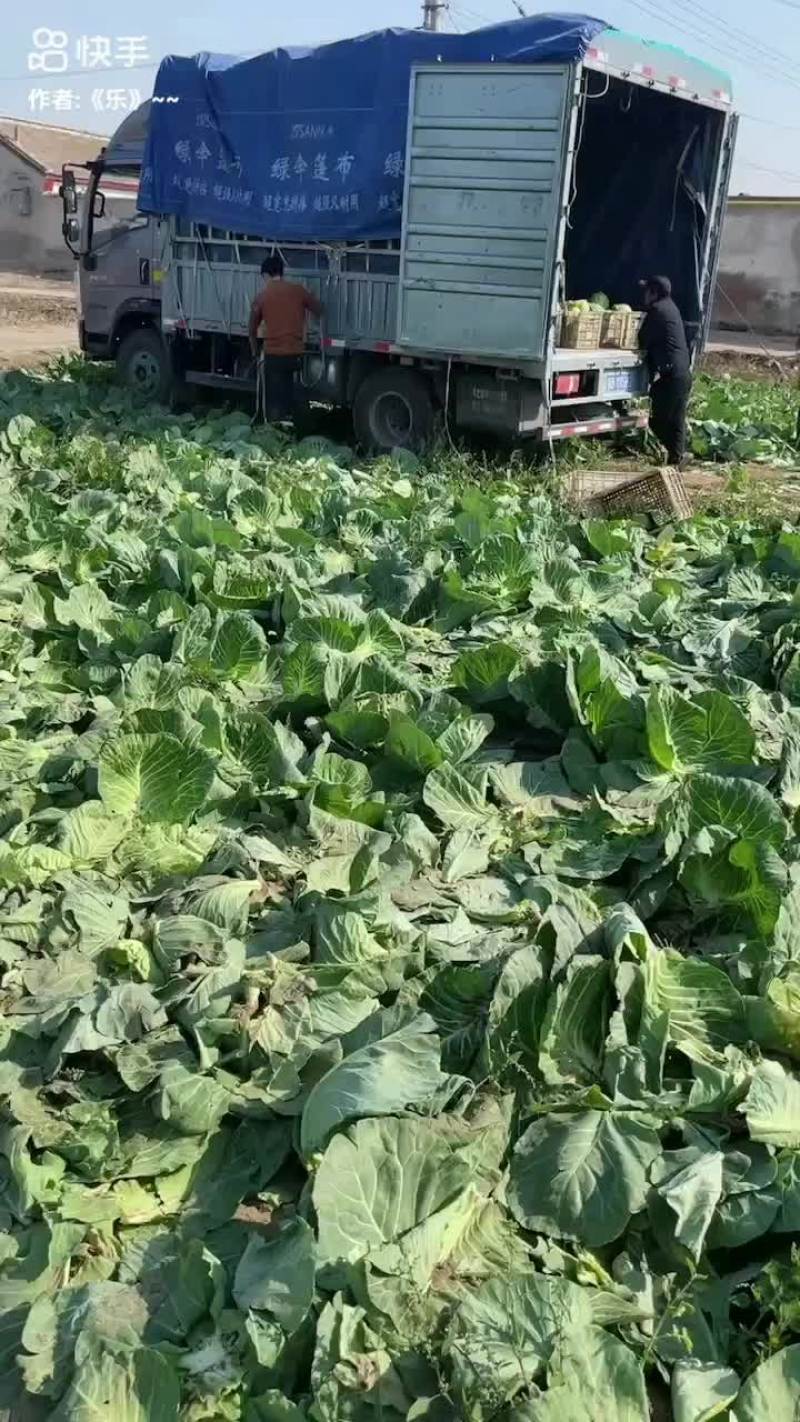 各大市场，各大电商大量有货