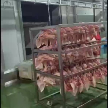 猪头，精猪头，毛猪头