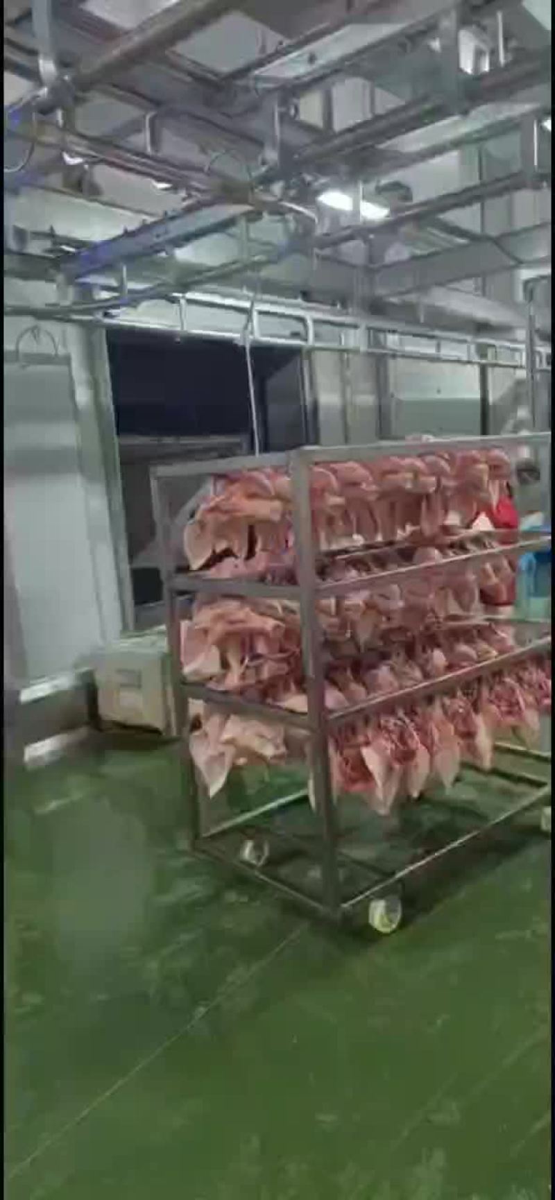 猪头，精猪头，毛猪头