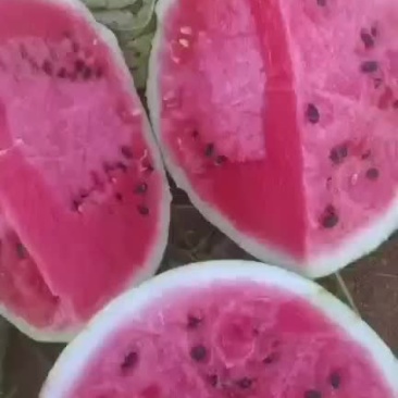 价格美丽，欢迎订购