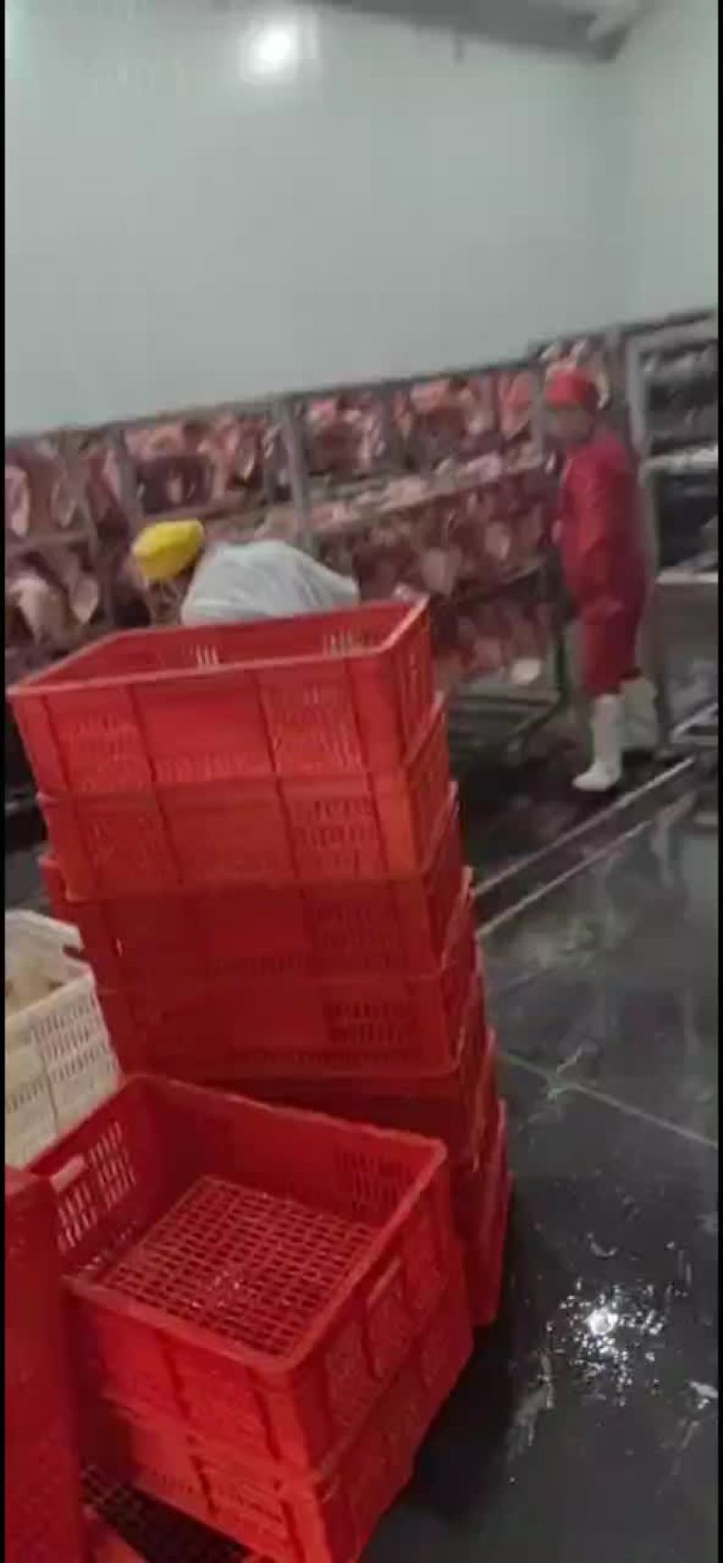 猪头，精猪头，毛猪头