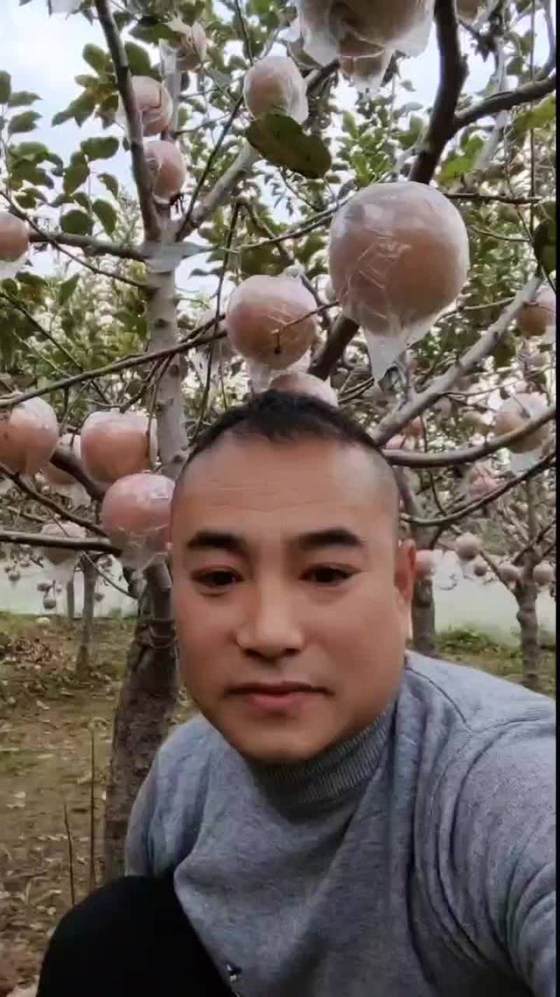 红富士苹果