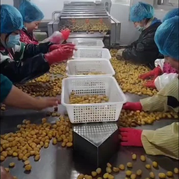 板栗