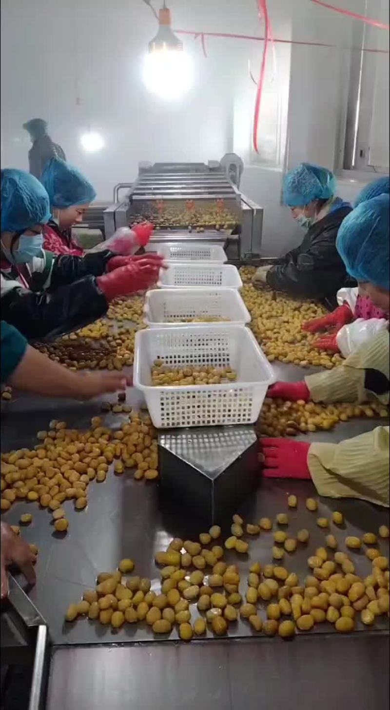 板栗