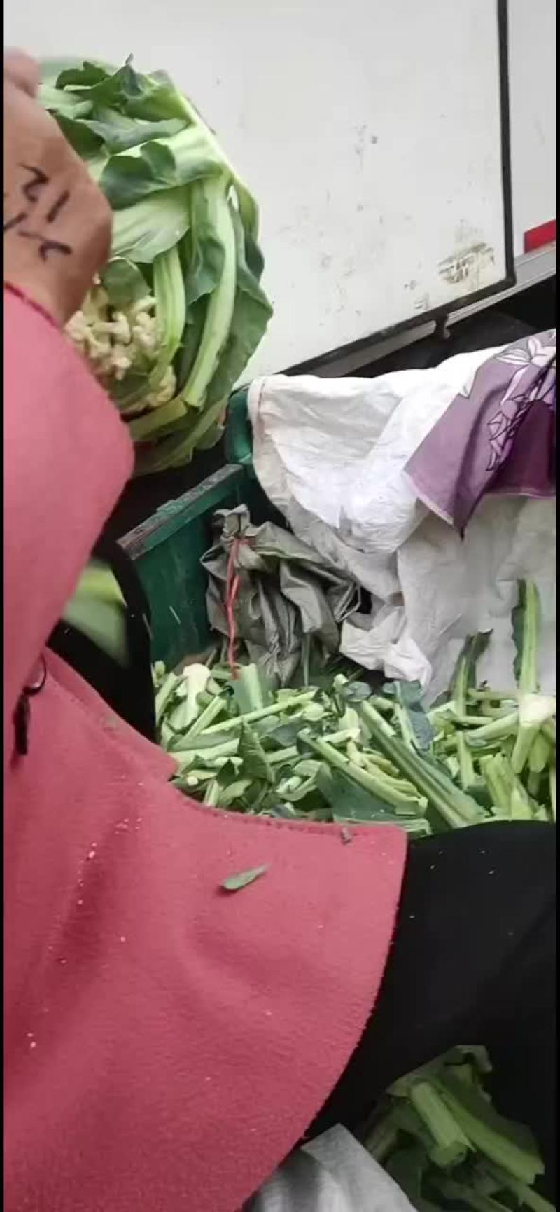 松花，实花大量现货，价格便宜
