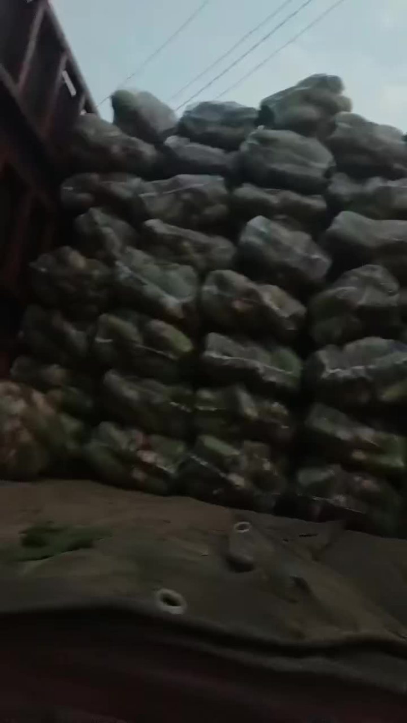 白萝卜