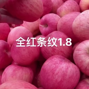 寒富