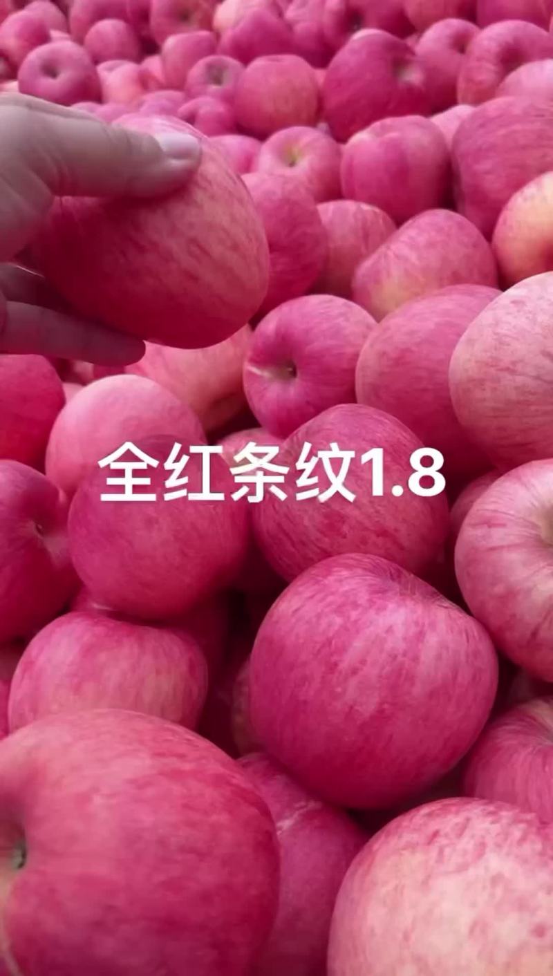 寒富