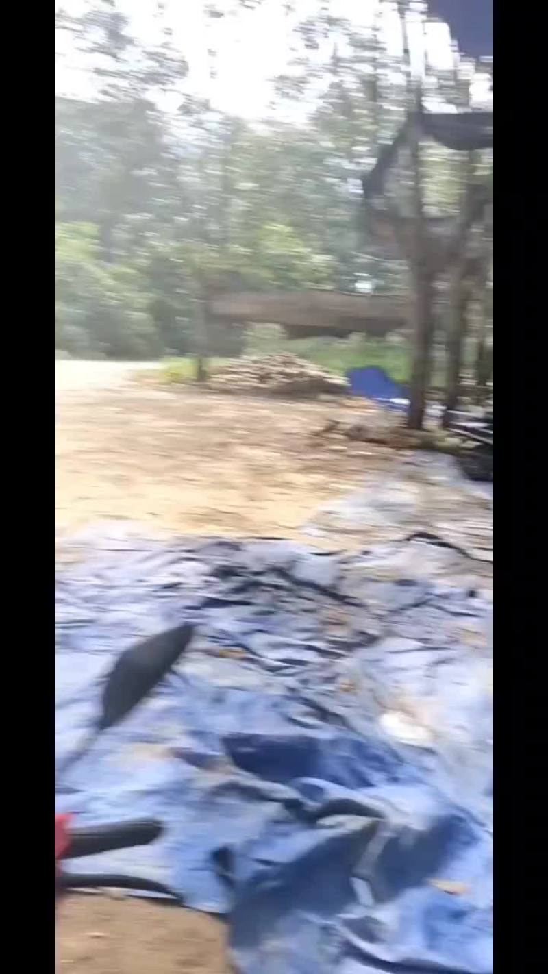 带皮椰青