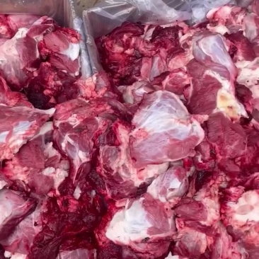 新鲜牛肉赘，价格美丽，品质优良欢迎老板订购~
