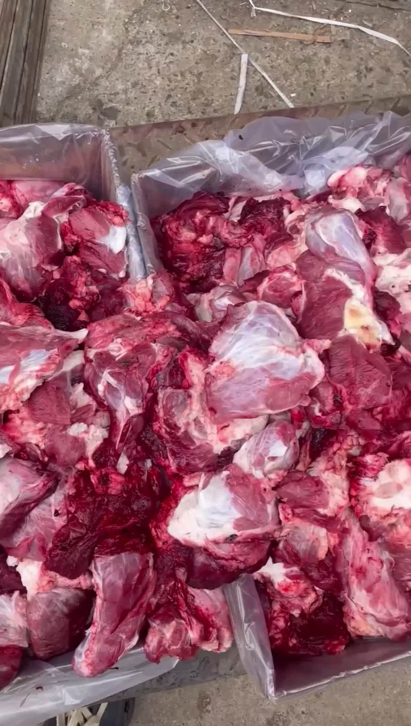 新鲜牛肉赘，价格美丽，品质优良欢迎老板订购~