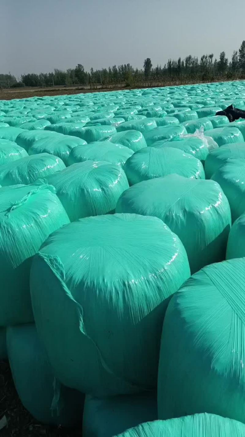 黄储