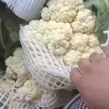天门花菜
