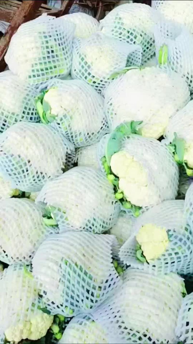 天门花菜